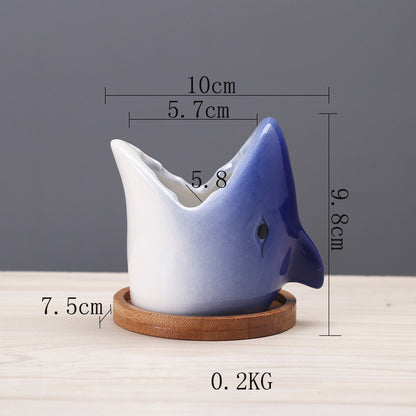 Cartoon Ceramic Succulent Pot