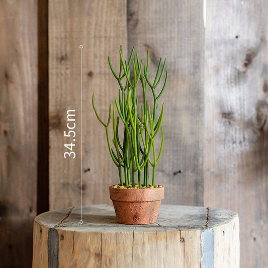 Large Artificial Plants
