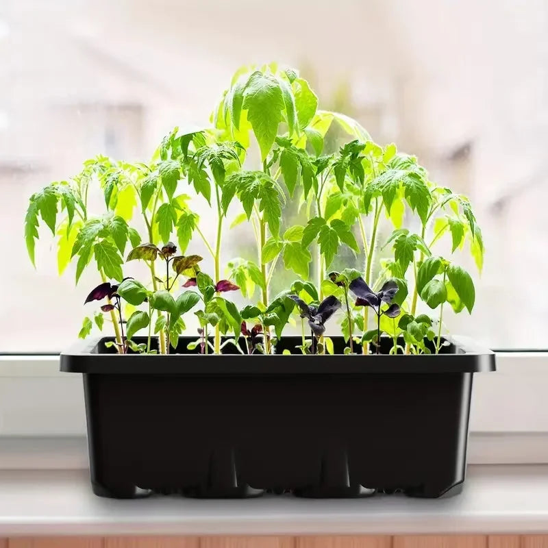 Seed starter tray with grow lights, 2 seed germination kits with adjustable humidity dome, mini greenhouse for seed germination