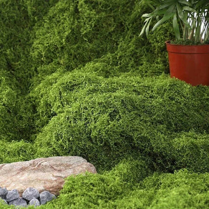 1*1m Fake Moss DIY Crafts Grass Artificial Moss Faux Preserved Moss Green Plants Home Room Garden Decor Landscape Fake Grass