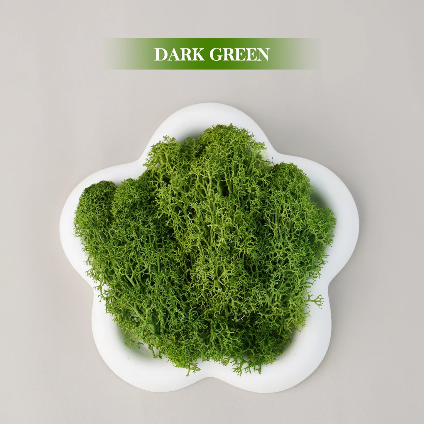 Artificial Green Plants Eternal Life Moss DIY Grass Garden Crafts Home Room Decor Mini Landscape Fake Grass 20/1000g