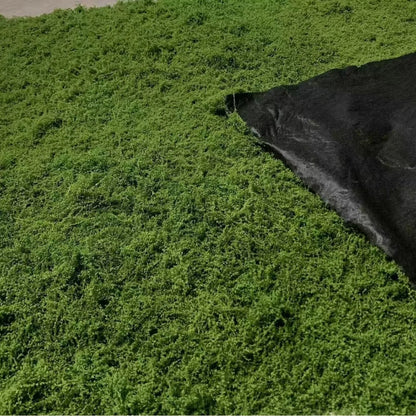 1*1m Fake Moss DIY Crafts Grass Artificial Moss Faux Preserved Moss Green Plants Home Room Garden Decor Landscape Fake Grass