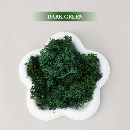Artificial Green Plants Eternal Life Moss DIY Grass Garden Crafts Home Room Decor Mini Landscape Fake Grass 20/1000g