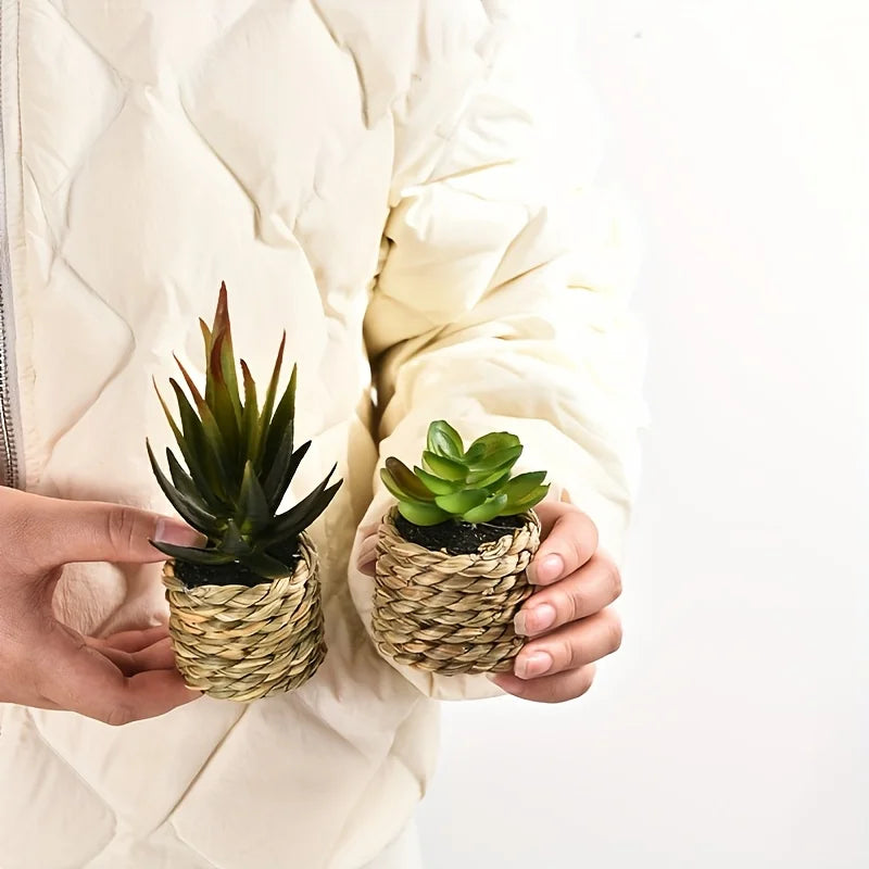 5pcs Set of Artificial Potted Plants Artificial Aloe Vera Fake Succulents Plastic Flower Pots for Home Kitchen Desk Wedding