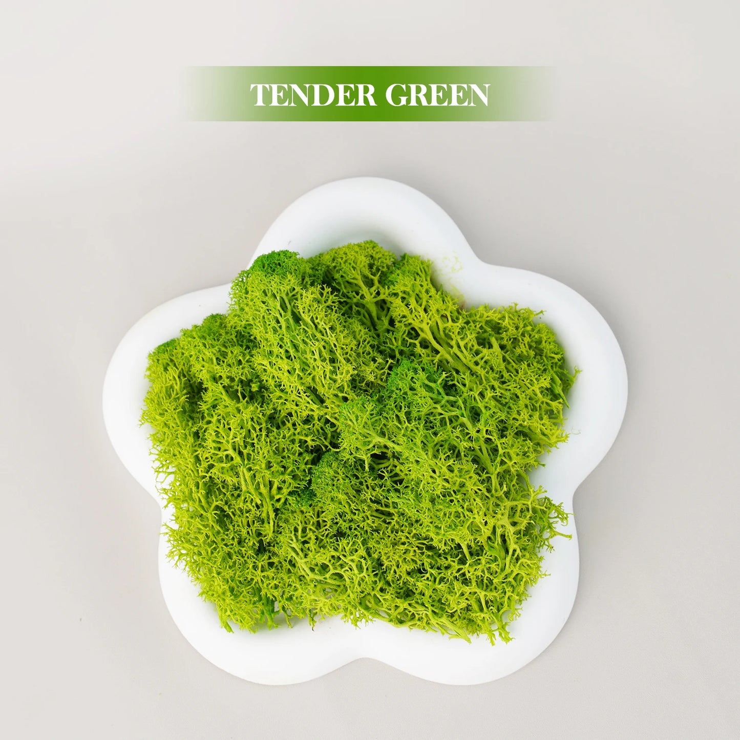 Artificial Green Plants Eternal Life Moss DIY Grass Garden Crafts Home Room Decor Mini Landscape Fake Grass 20/1000g