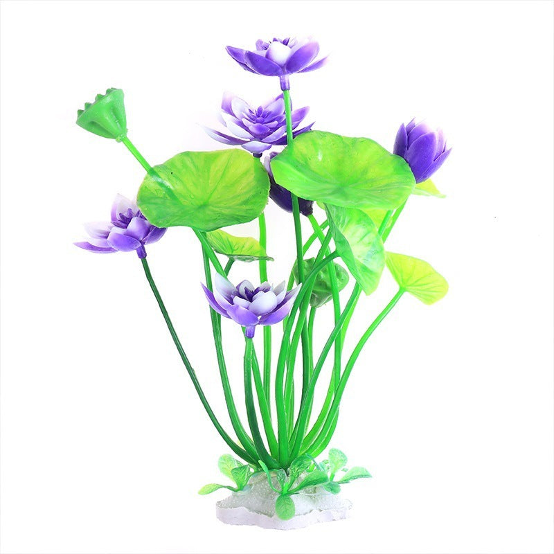 Aquarium Lotus & Sim Plants