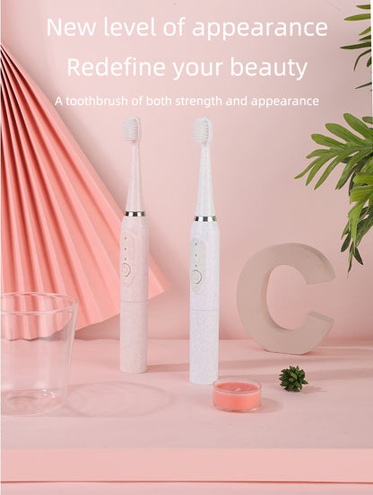 Electric Toothbrush with Two Brush Heads| Tillmart