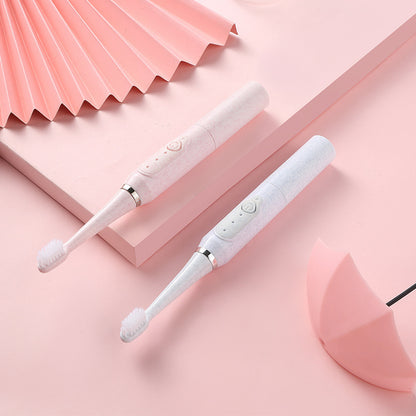Electric Toothbrush with Two Brush Heads| Tillmart