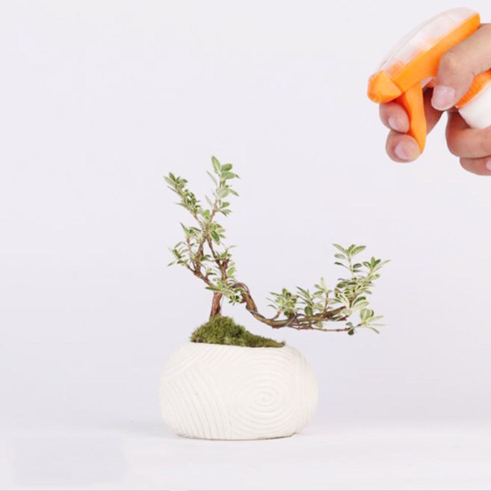 Levitating Plant Pot