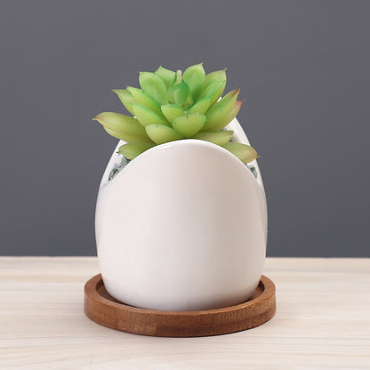 Cartoon Ceramic Succulent Pot