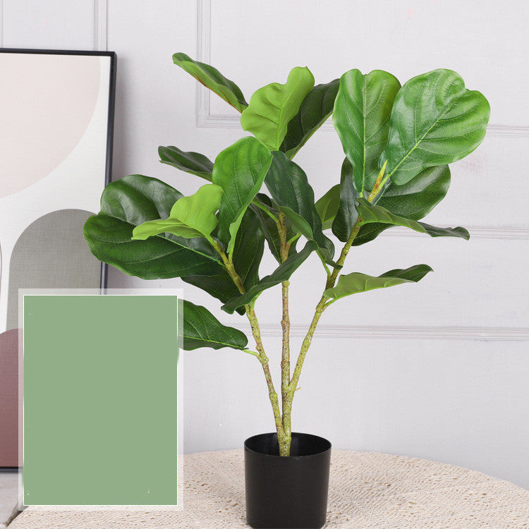 Artificial Indoor Plants for Home | Tillmart Decor