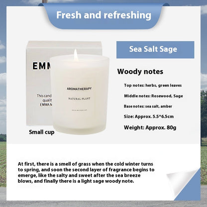 Scented Candles for Home & Relaxation | Tillmart