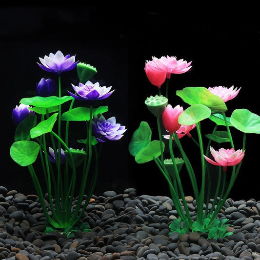 Aquarium Lotus & Sim Plants