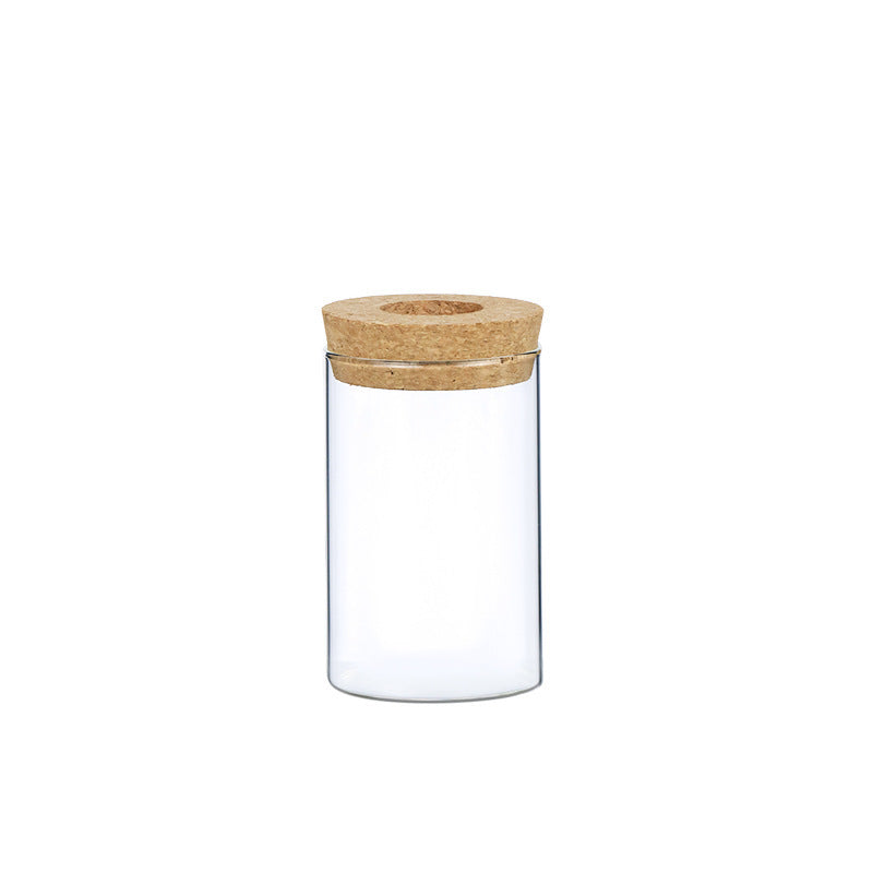 Glass Hydroponic Vase Indoor Plant | Tillmart