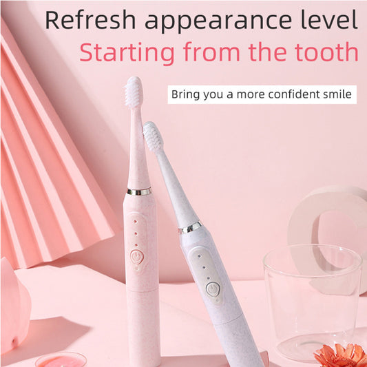 Electric Toothbrush with Two Brush Heads| Tillmart