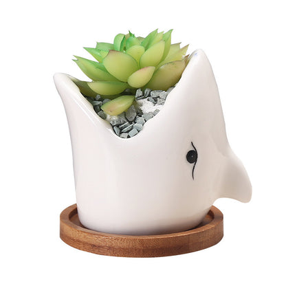 Cartoon Ceramic Succulent Pot
